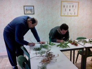 IMG_20161128_085732 (1)